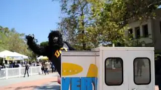 Gorilla Marketing