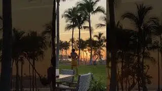 🌺 Hawai'i, WAIMEA 🇺🇸 #VIEWS ☀️ (RESORT DINNER 💚) ⛵#ASMR, #ISLAND #PALMTREES CANOE HOUSE #HAWAII