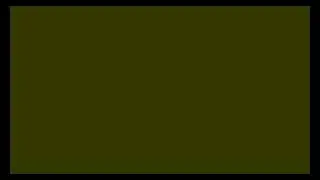 Wasabi Nori Color --- #333300