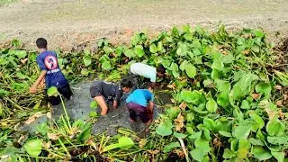 গ্রামের বাচ্চাদের মাছ ধরার ভিডিও। গ্রামের মাছ ধরার ভিডিও। 🐟#fish 