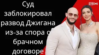 Суд заблокировал развод Джигана из-за спора о брачном договоре