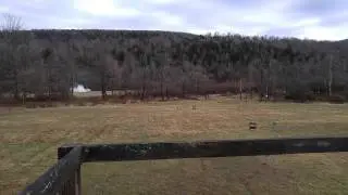 5lbs of Tannerite at 225yds