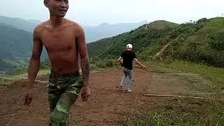 bẫy chim én bằng lưới úp