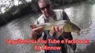 Come catturare un barbo a spinning (Barbo italico)