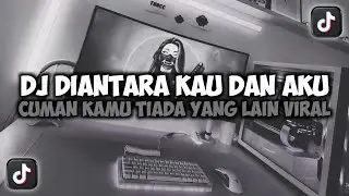 DJ DIANTARA KAU DAN AKU CUMAN KAMU TIADA YANG LAIN VIRAL TIKTOK SLOW FULL SONG MAMAN FVNDY 2025