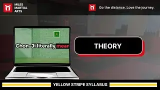 YELLOW STRIPE THEORY