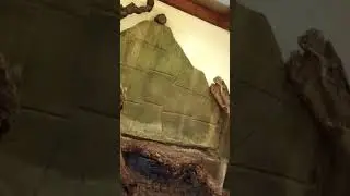 Toepaja