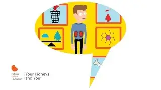 Your Kidneys and You
