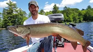 Musky Fishing In Wisconsin (New Water Comes Through BIG)