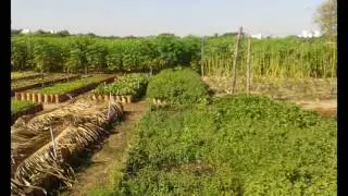 UFPI - Horta do Col&eacute;gio Agr&iacute;cola de Teresina - Piaui.
