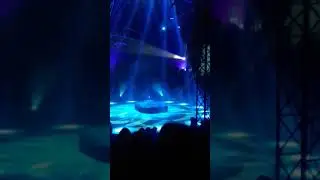 Flic Flac Show 2018