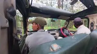 Pugmark of Cub #penchtigerreserve #rukhad #wildlife #safari