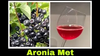 Aronia Met Rezept mit Honig | Selbstversorgung: Apfelbeere Aroniabeeren 
