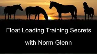 Horse Float Loading Training Secrets and Tips