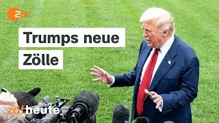 Grönland-Streit: Was Trumps Zolldrohungen bedeuten | Berlin direkt