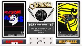 #3 Hillsdale vs. #12 Mapleton - D4 District Semifinal Baseball