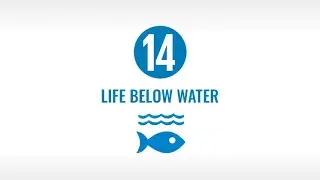 Sustainable Development Goal #14: Life Below Water
