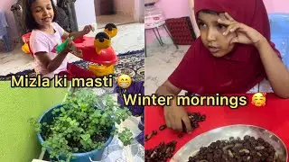 2026 ka 2nd vlog Winter Morning at My Mayke | Simple Daily Vlog #mizlakajahan #youtube #dailyvlog 