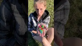 Warheads Chewy Candy Cubes #нидерланды #пробуем #tasty #cubes #warheads #chewy #candy #chewycandy