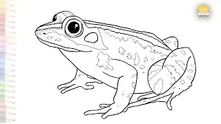 Wood frog drawing easy | Outline sketches | How to draw A Wood frog step by step | #artjanag