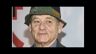 Photographer says Bill Murray harassed him at restaurant Tiger Time!!