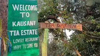New day, new blog!Today&rsquo;s blog is Tea garden Uttarakhand.#chotaalivlogs 