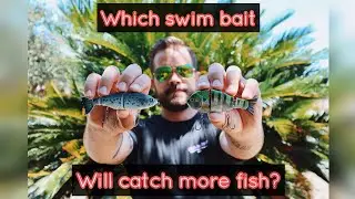 Catch Co. Swim Bait Challenge - JR. Contender VS Baby Bull Gill • KrankMyBait