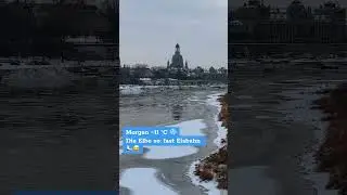 Winter in Dresden ❄️ Die Elbe friert langsam zu #winter #dresden #fyp #germany