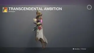 Destiny 2 Warlock with Techeun's Regalia Ornaments and Transcendental Ambition Shader