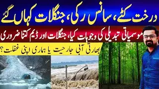 The Devastating Consequences of Deforestation in Pakistan| Raheel Hassan