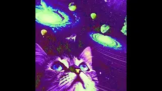 jazzzzzzz a cat