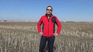 Wheat School: Kernel weight matters when setting seeding rates