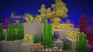 Pirate fortress (MC: An Adventure of a Lifetime) #7