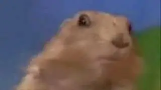 Dramatic Prairie Dog (Original)