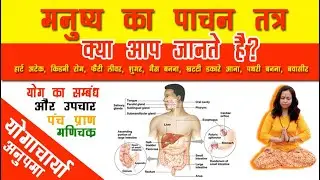 What is digestion and how human digestive system works by Yogacharya Anupama (Hindi)