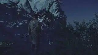 #GhostOfTsushima, Hidden Sakai Banner location.