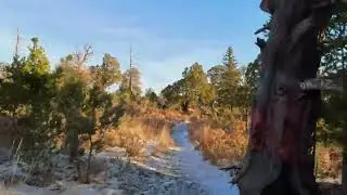 #fyp #viral #ultrarunning #longdistancerunning #girlrunner #povrunning  #asmrvisuals #meditation