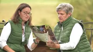Gabi Grandl - Frauen.Kraft S&uuml;doststeiermark. Steirisches Vulkanland