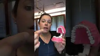OHI Part 2   Hygiene Aids