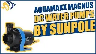 AquaMaxx Magnus DC Water Pumps by Sunpole: Strong, Quiet and Reliable