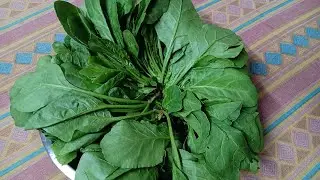 স্বাস্থ্যকর পালং সিদ্ধ রেসিপি। Boiled Palak recipe...