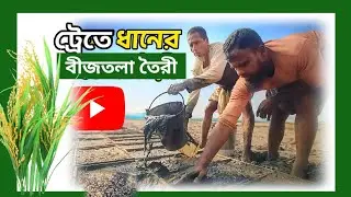 Farmers' confidence in seedbed preparation. Seedbed preparation in trays