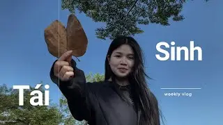 Từ HS BỔ TÚC đến 2 năm 