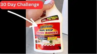 How to Get Rid of Ants | Spectracide Ant Spray Test | 30 Day Challenge