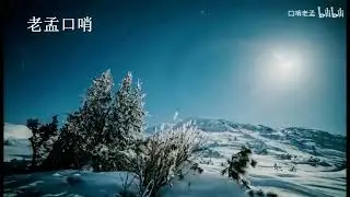 《海滨之歌（浜辺の歌）》紫藤&老孟