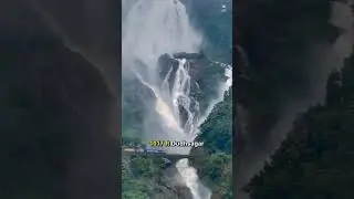 Dudhsagar Waterfall trek #trekking #dudhsagarwaterfall #waterfalltrek  #waterfall #goawaterfall
