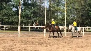 Egzamin na odznakę Jeżdżę Konno