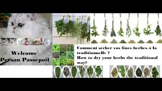 quand et comment sécher les fines herbes du votre jardin a la traditionnelle