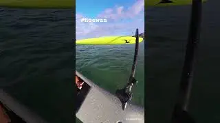 Jus&rsquo; Stroke! #hoewaa #canoe #hyprhawaii #liberator #kamanu #noio #pitvipers #manaola #insta360
