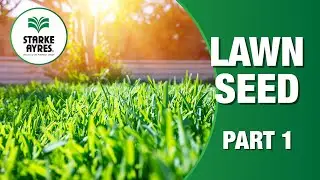 Starke Ayres Lawn Seeds Part 1